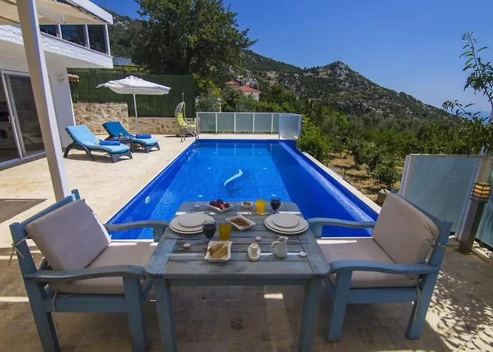 别墅 Islamlar Village 1 Bedroom Luxury With Pool 卡尔坎